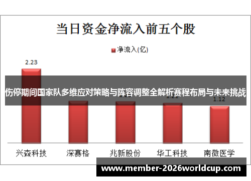 伤停期间国家队多维应对策略与阵容调整全解析赛程布局与未来挑战