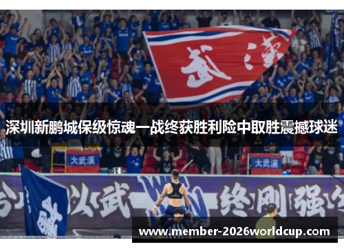 深圳新鹏城保级惊魂一战终获胜利险中取胜震撼球迷 深圳新鹏城保级惊魂一战终获胜利险中取胜震撼球迷